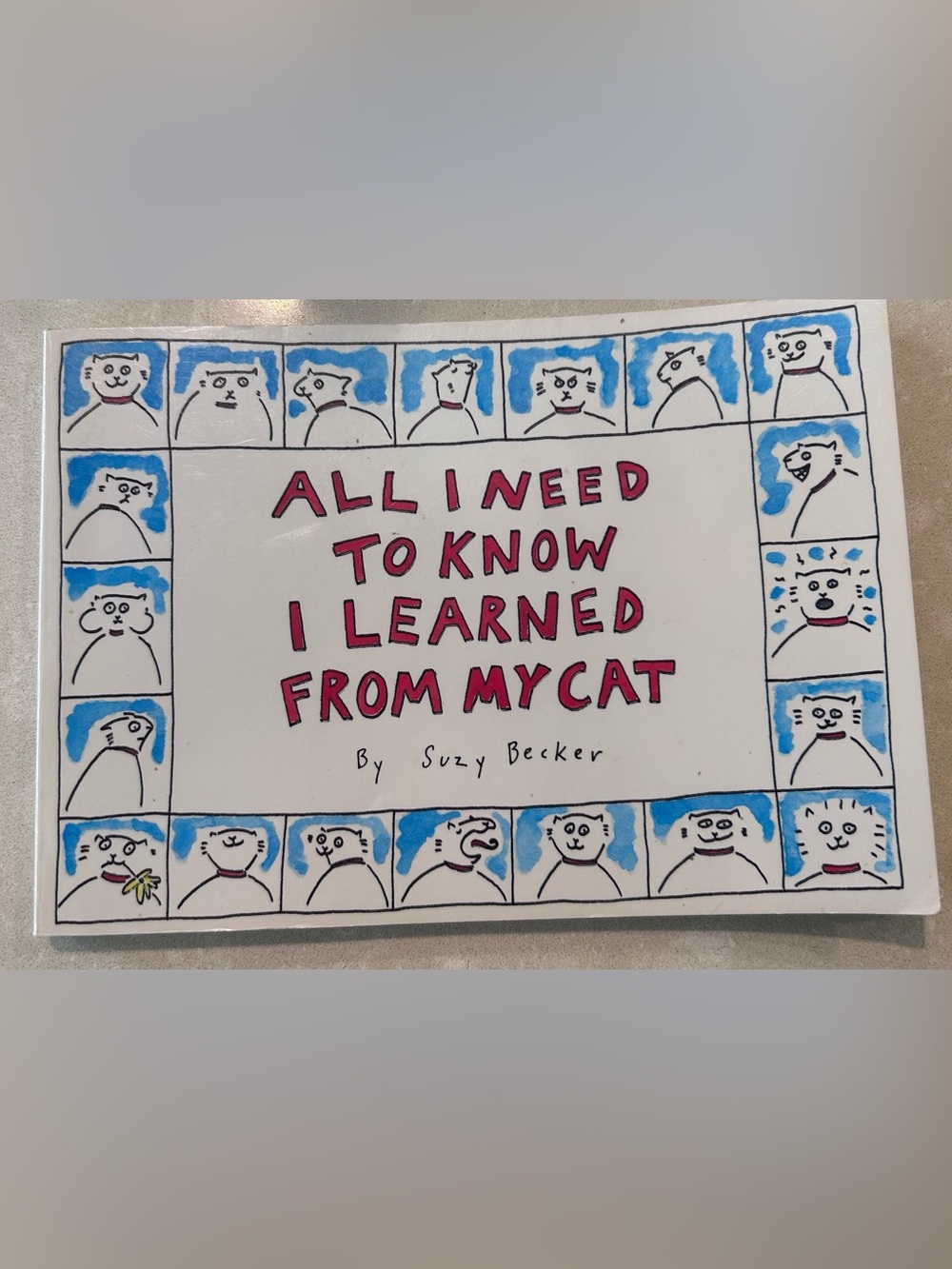 All I Need to Know I Learned from my Cat book